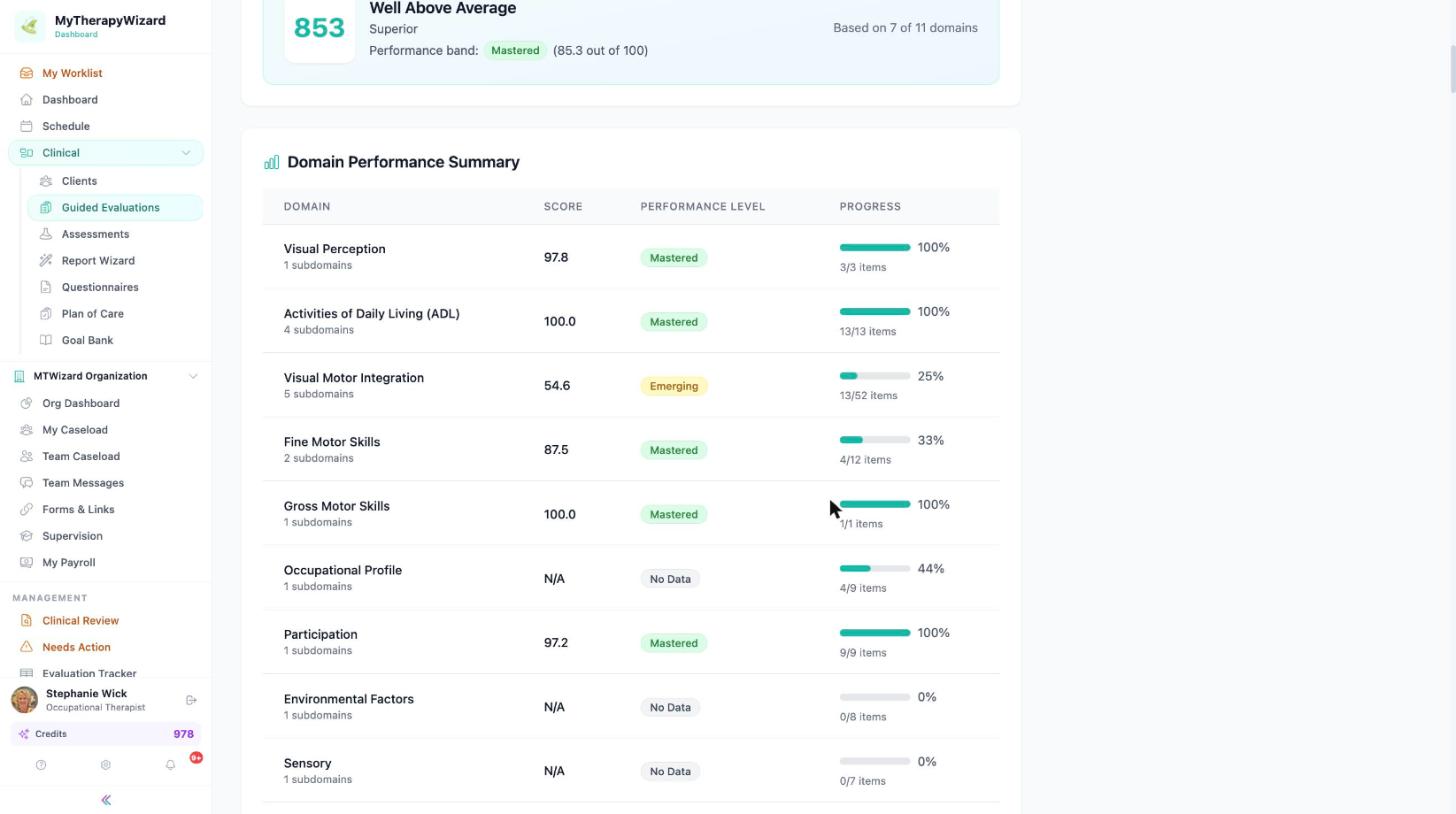 Evaluation domain performance summary with structured scoring
